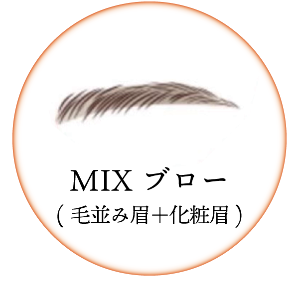 MIX ブロー(毛並み眉＋化粧眉)